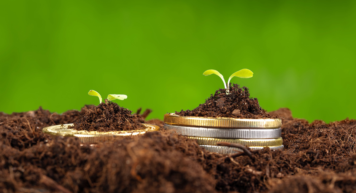 Coins stack of money and growing plant, financial concept