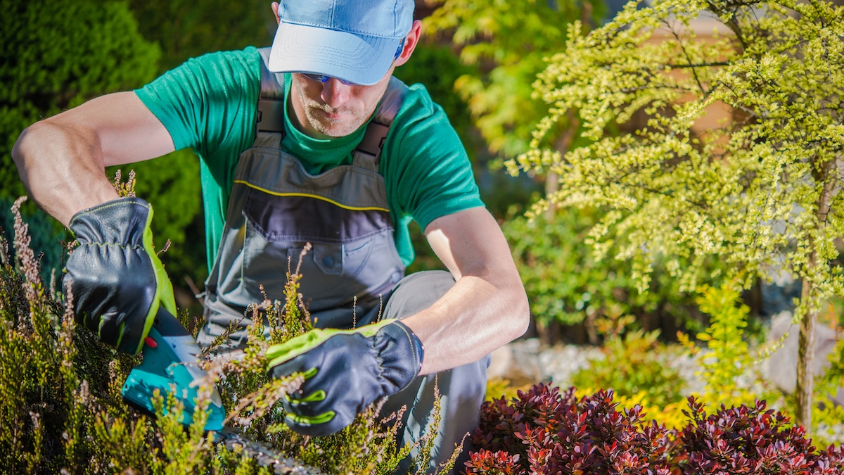 Gardener Working in a Garden