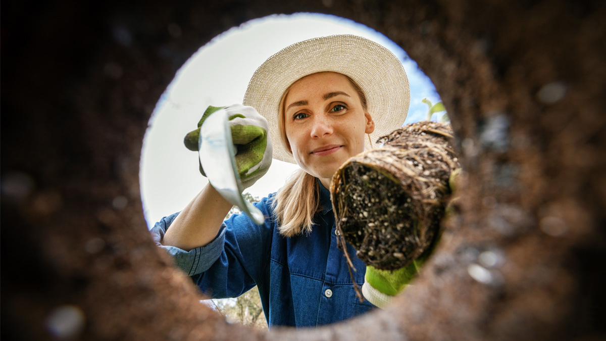 woman planting a garden